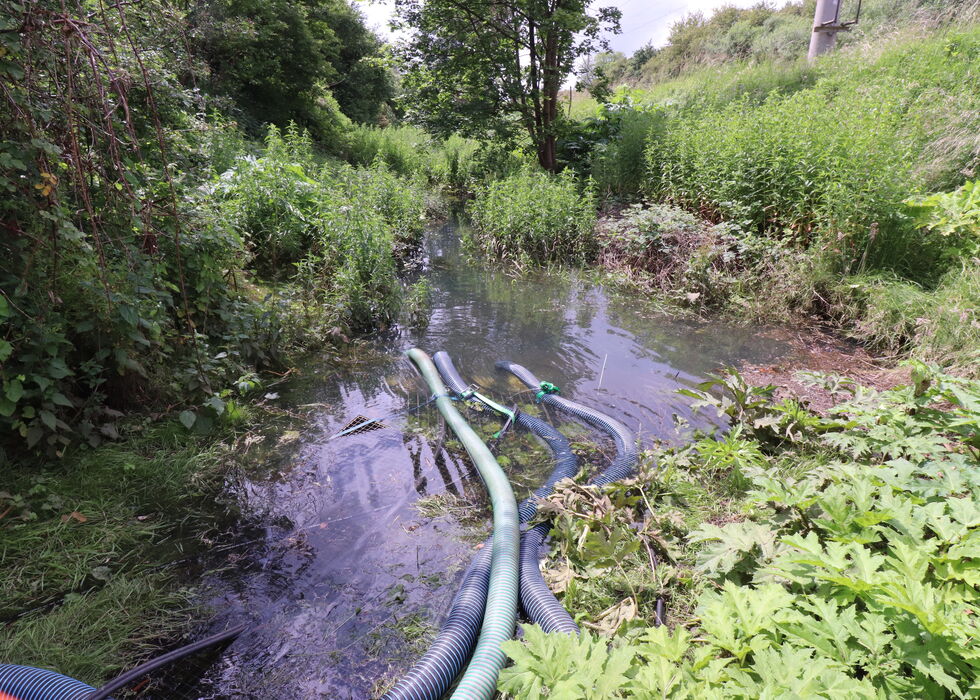 Mehrere Schläuche pumpen Wasser durch einen flachen, überfluteten Graben mit dichtem Bewuchs.