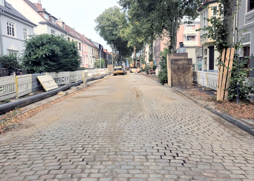 Eine Kopfsteinpflasterstraße mit Häusern und Bäumen unter bewölktem Himmel.