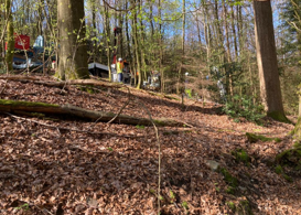 Menschen arbeiten zwischen Bäumen auf einem mit Laub bedeckten Waldhang mit Werkzeugen und Ausrüstung.