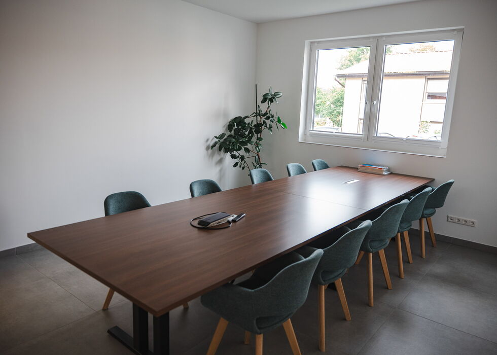 Ein minimalistischer Besprechungsraum mit langem Holztisch, grünen Stühlen, einer Pflanze und Tageslicht durchs Fenster.