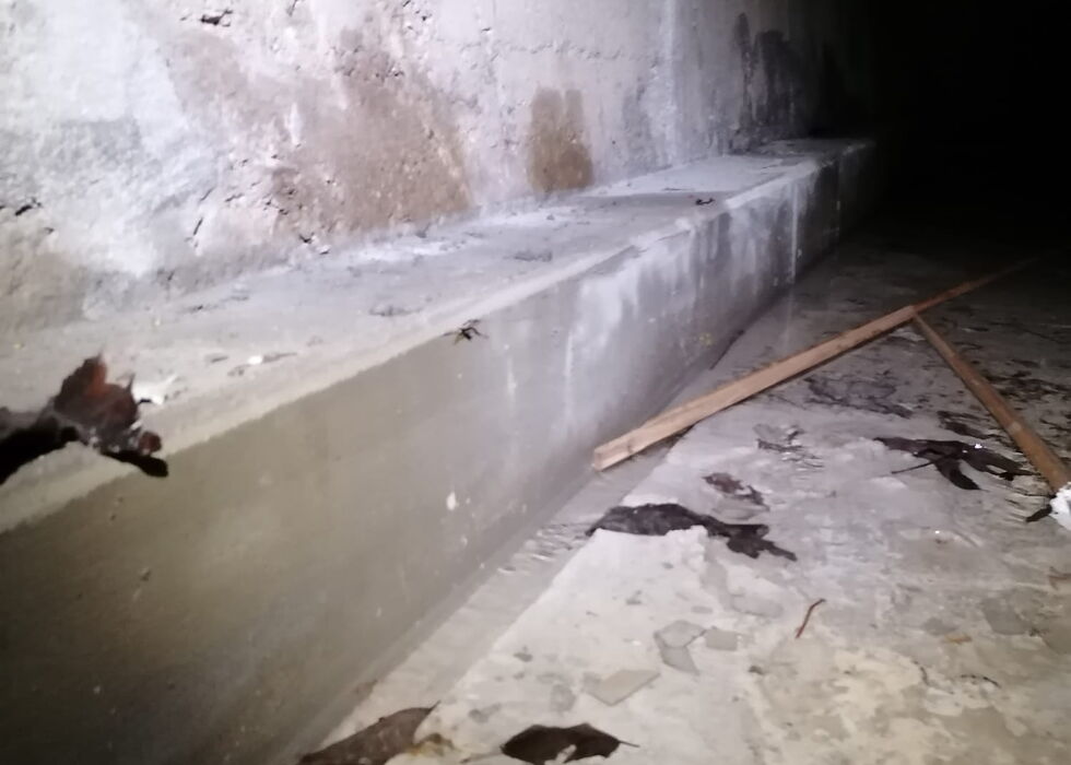 Abgenutzte Betonbank entlang einer rauen Wand in einem dunklen Keller mit verstreutem Schutt auf dem Boden